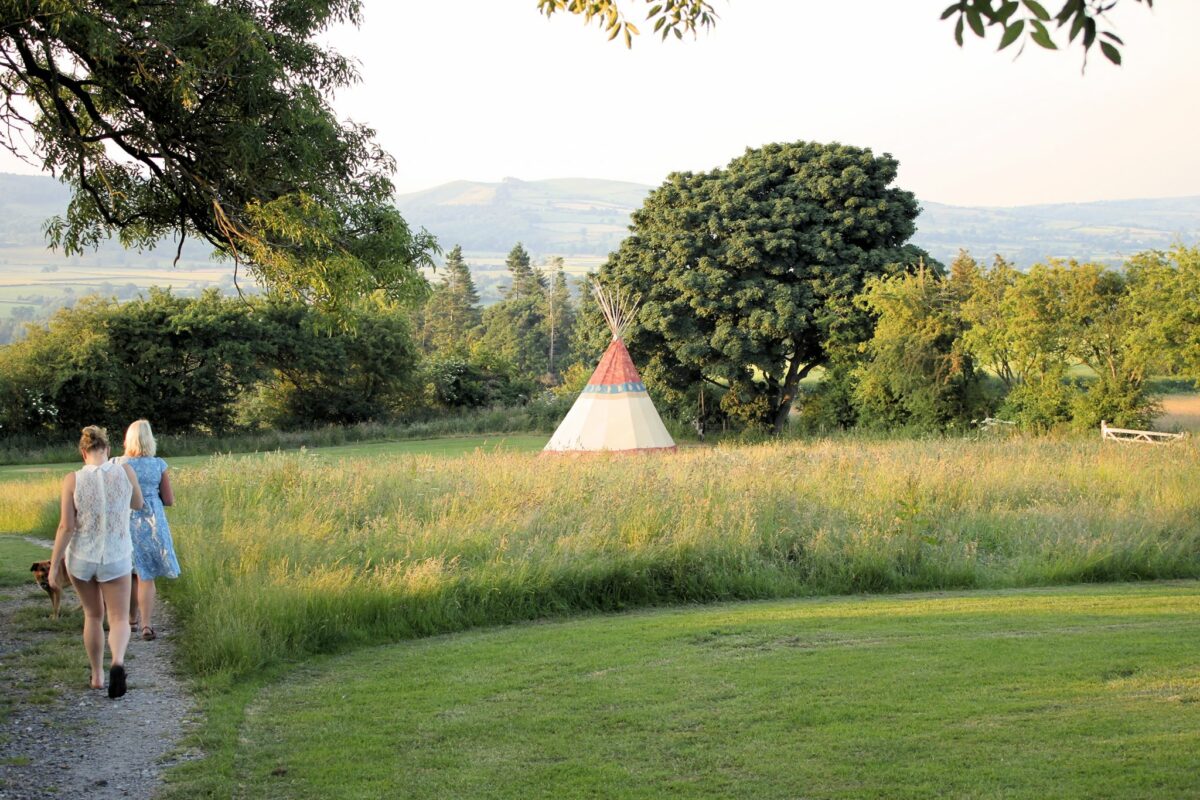 FOXHOLES CASTLE CAMPING