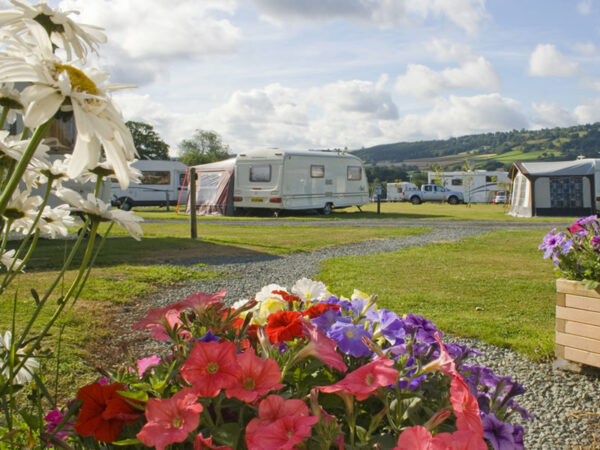 DAISY BANK TOURING CARAVAN PARK