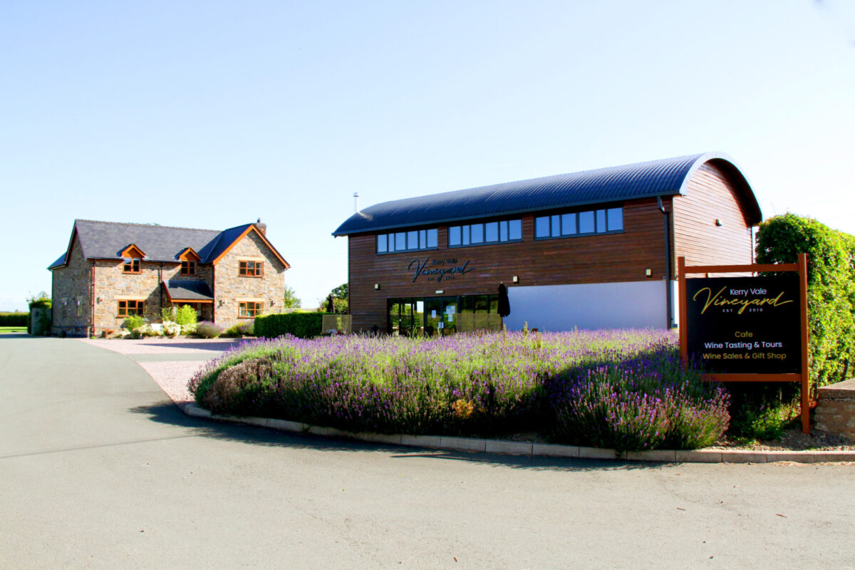 Kerry Vale Vineyard