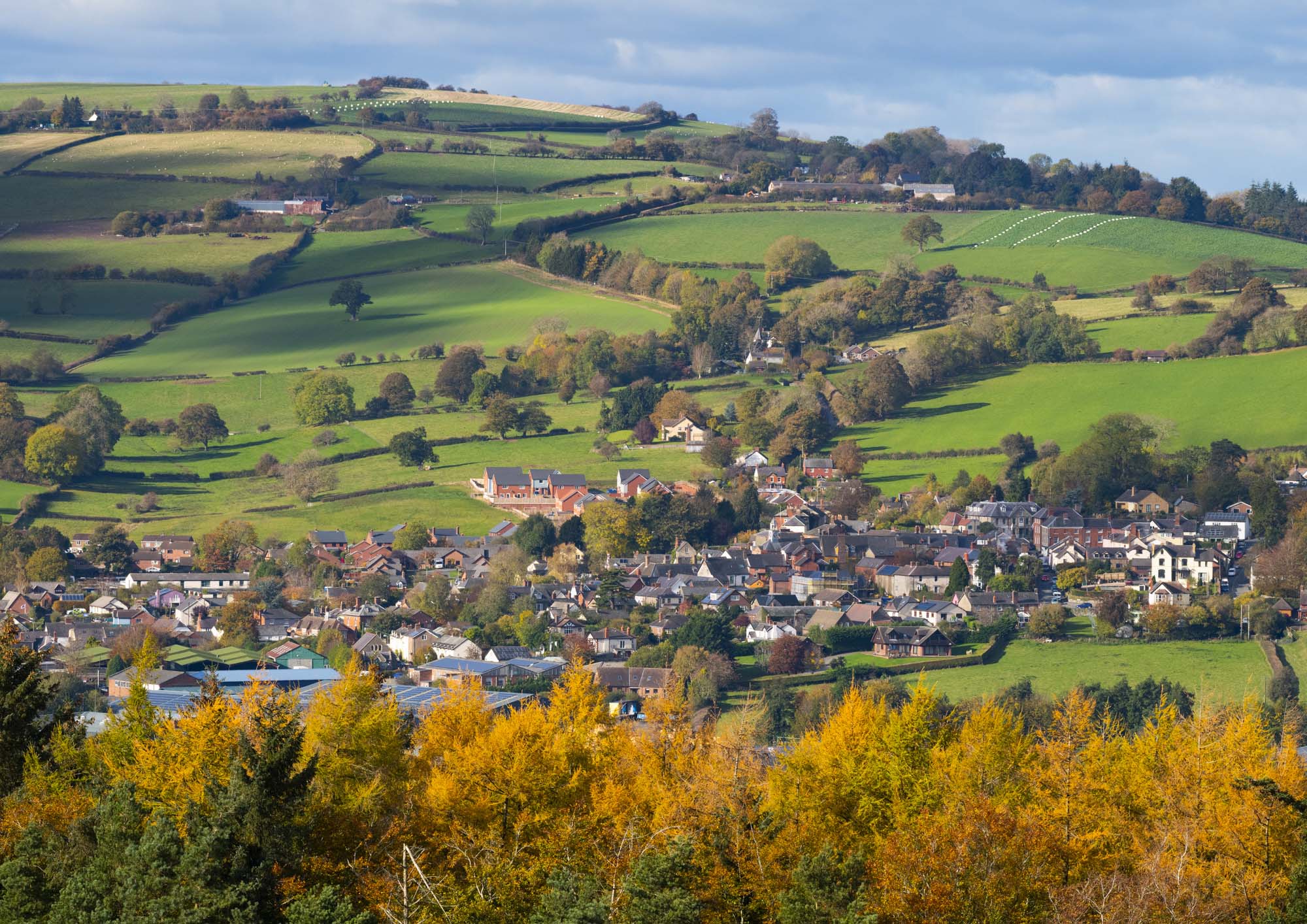 Bishop's Castle, seen from Oakeley Mynd, Shropshire.
