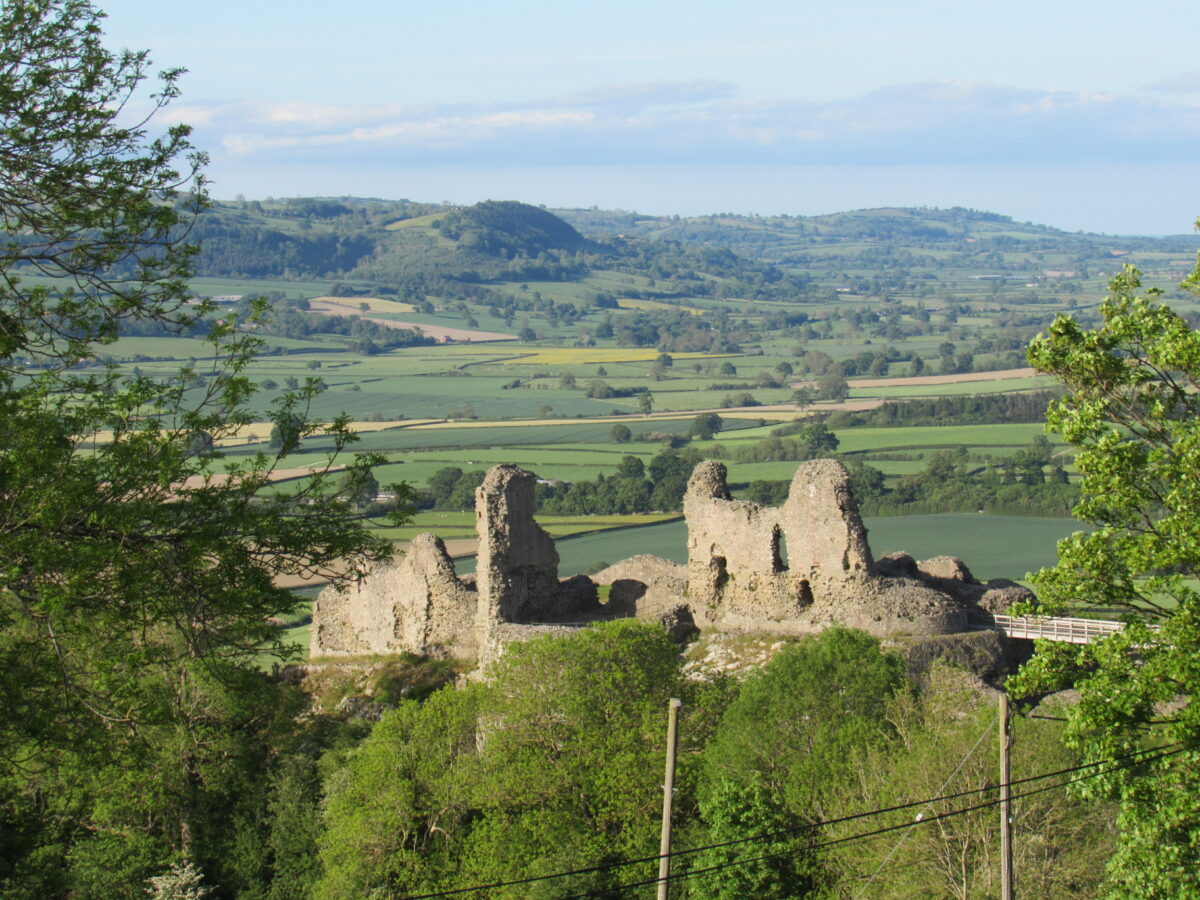 Montgomery Castle