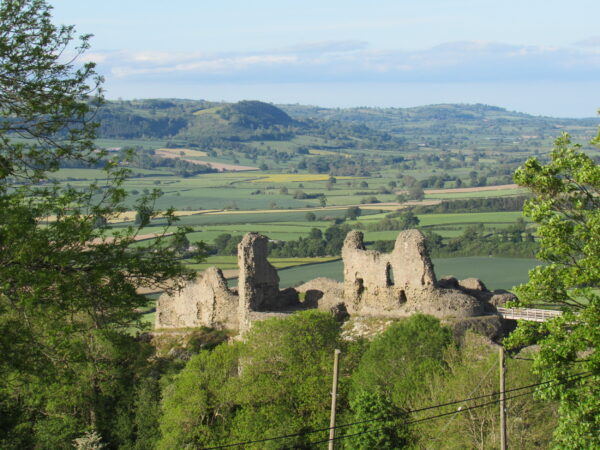 Montgomery Castle