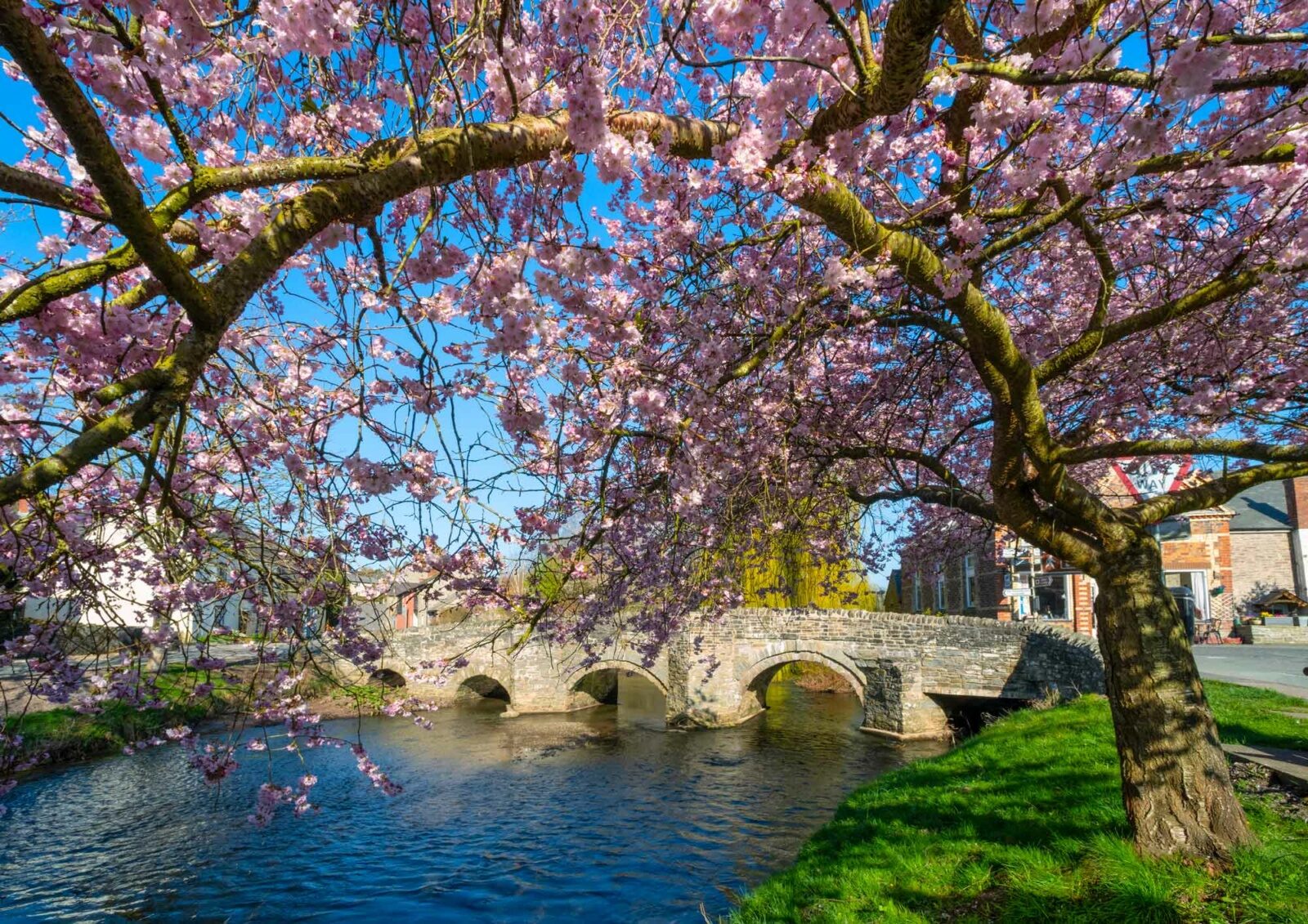 Photo courtesy of Shropshire & Beyond