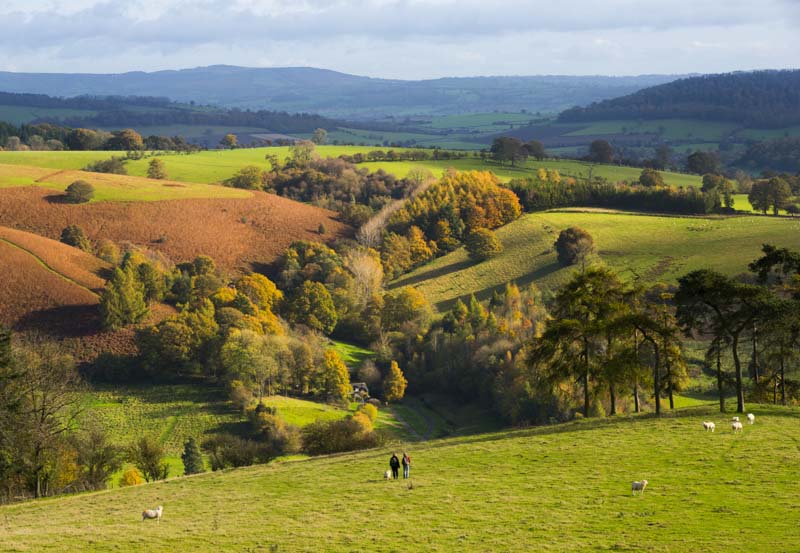 Walkers descend from Burrow Hill, near the village of Hopesay, south Shropshire.