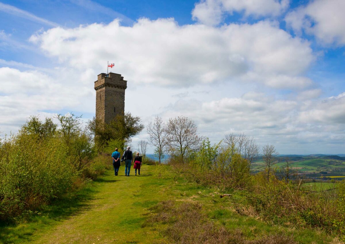 Flounders' Folly