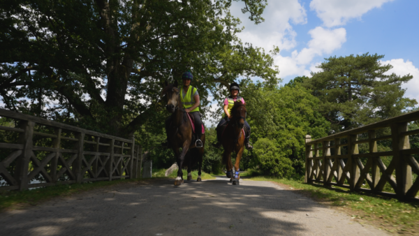 Walcot Stables
