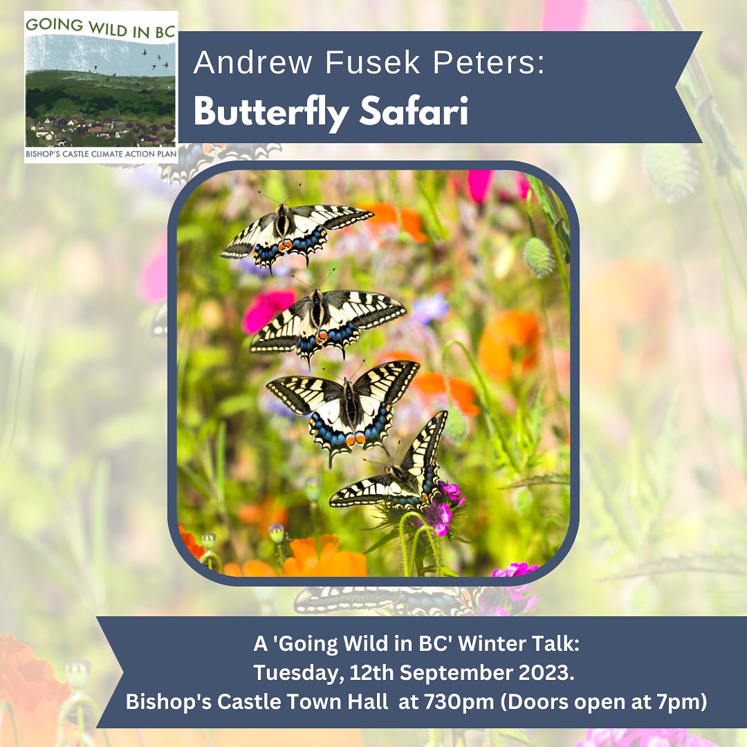 Butterfly Safari Talk