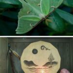 An Introduction to a Shamanistic & Animistic Way of Being