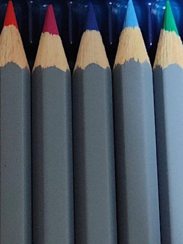 Coloured pencil skills workshop