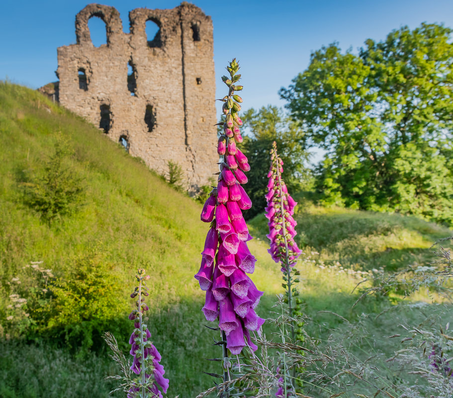 Clun Castle
