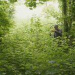 Films: The Nettle Dress