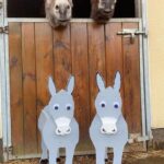 Family: Free Donkey Rides