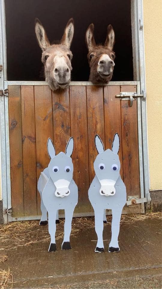 Family: Free Donkey Rides