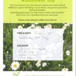 Create a Meadow with Going Wild