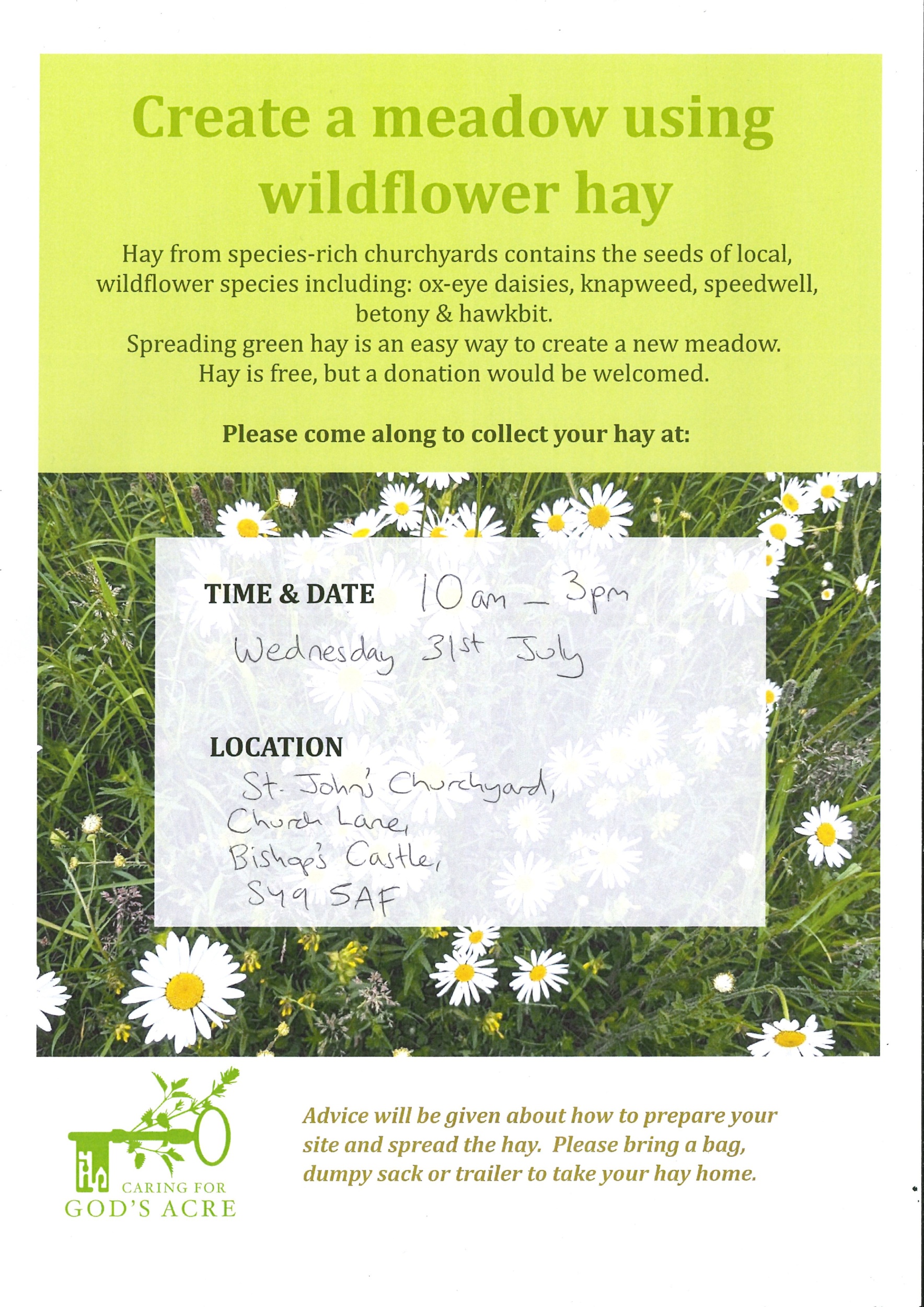 Create a Meadow with Going Wild