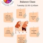 Exercise on Referral Strength, Conditioning & Balance Class