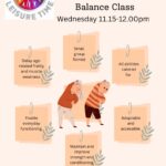 Exercise on Referral Over 60s Strength, Conditioning & Balance Class