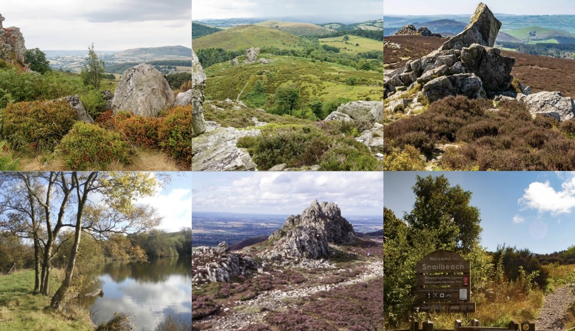 Stiperstones & Shropshire Hills Hike