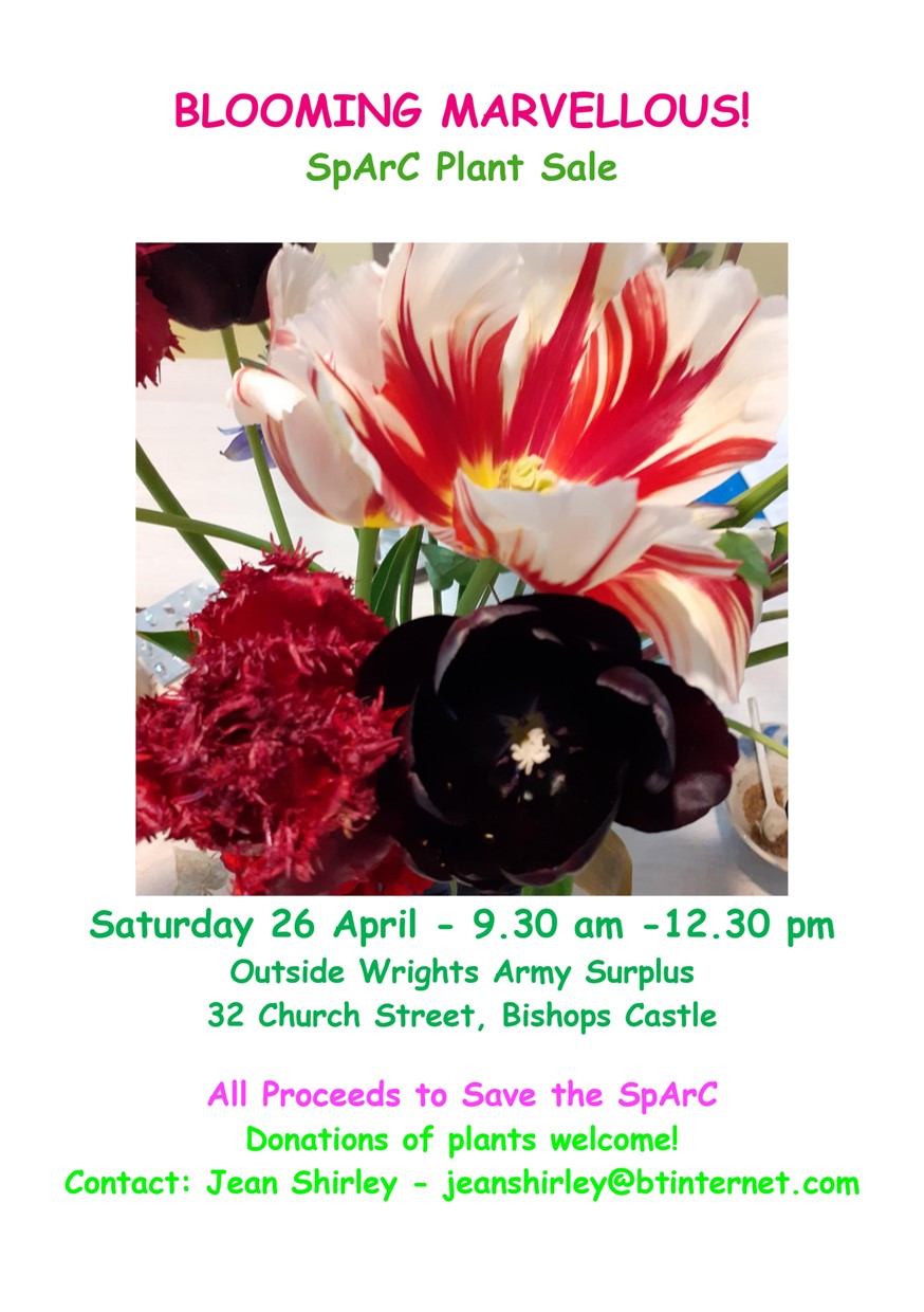 SpArC Plant Sale